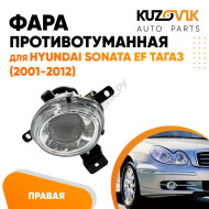Противотуманная фара правая Hyundai Sonata EF Тагаз (2001-2012) KUZOVIK